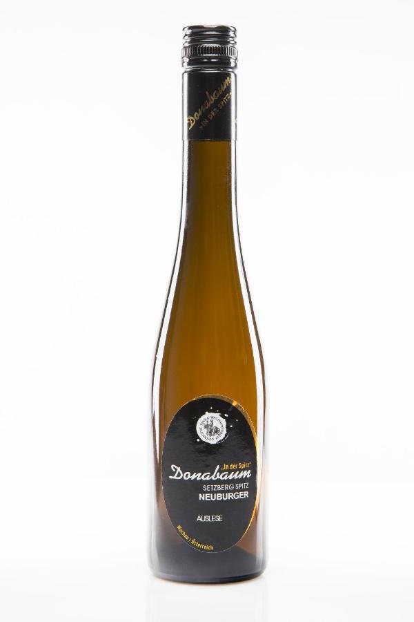Weingut Donabaum "In Der Spitz" Apartment Spitz an der Donau Ngoại thất bức ảnh