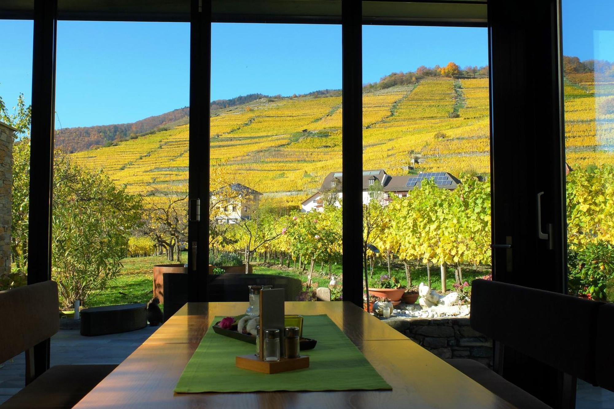 Weingut Donabaum "In Der Spitz" Apartment Spitz an der Donau Phòng bức ảnh