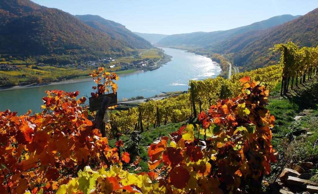 Weingut Donabaum "In Der Spitz" Apartment Spitz an der Donau Ngoại thất bức ảnh