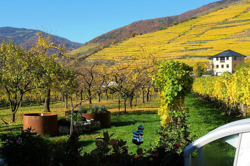Weingut Donabaum "In Der Spitz" Apartment Spitz an der Donau Ngoại thất bức ảnh