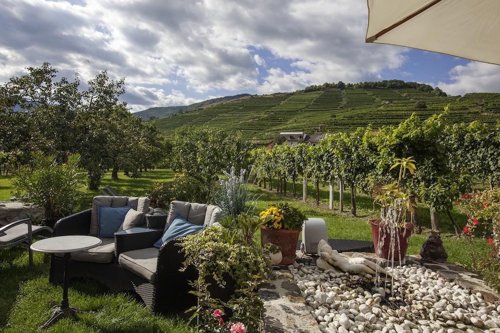 Weingut Donabaum "In Der Spitz" Apartment Spitz an der Donau Ngoại thất bức ảnh
