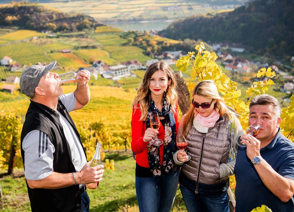 Weingut Donabaum "In Der Spitz" Apartment Spitz an der Donau Ngoại thất bức ảnh