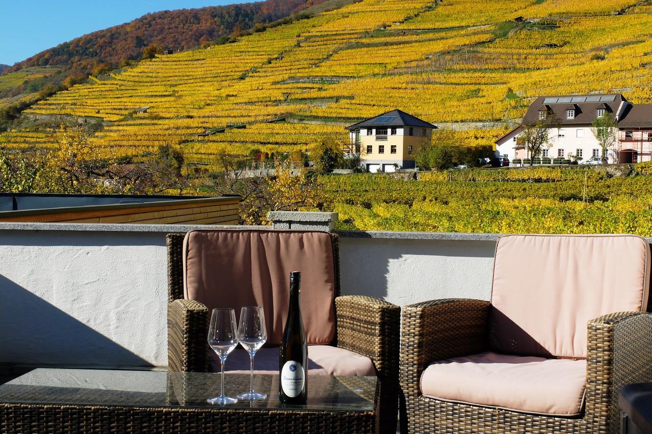 Weingut Donabaum "In Der Spitz" Apartment Spitz an der Donau Ngoại thất bức ảnh