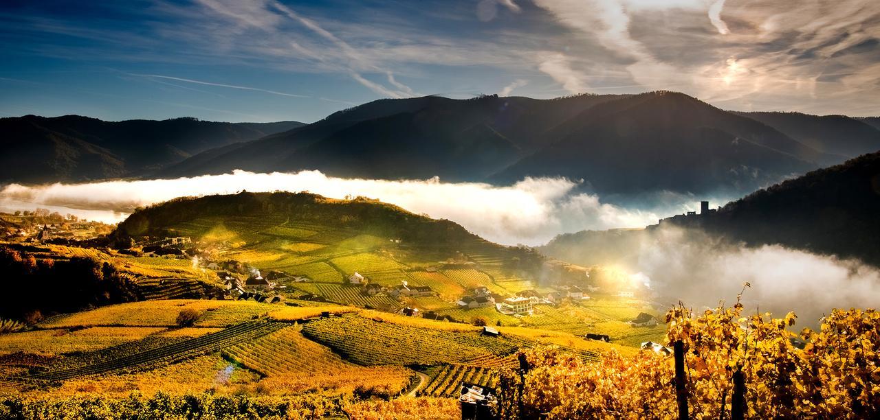 Weingut Donabaum "In Der Spitz" Apartment Spitz an der Donau Ngoại thất bức ảnh
