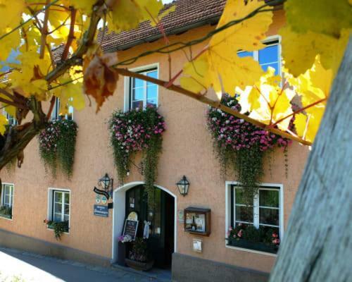Weingut Donabaum "In Der Spitz" Apartment Spitz an der Donau Ngoại thất bức ảnh